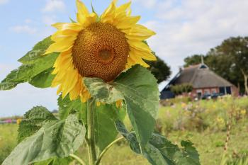 Fotowedstrijd 10-jarig jubileum - basisschool